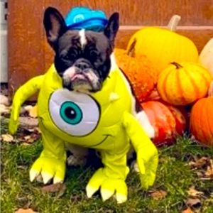 Monsters Inc Mike Dog/Cat Halloween costume